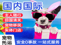 张家口机场货运国际宠物托运 【国